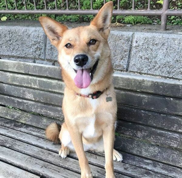 笑顔の柚ちゃん