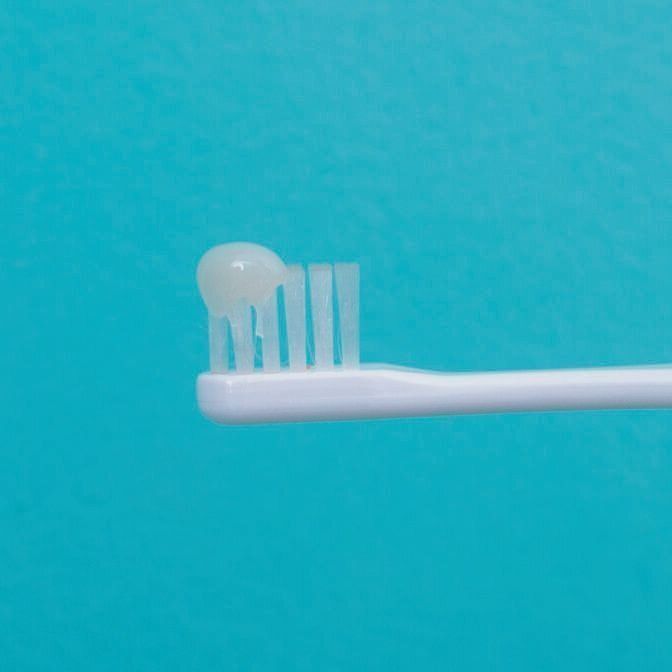 犬用歯みがきペーストは上あご分でこのぐらい