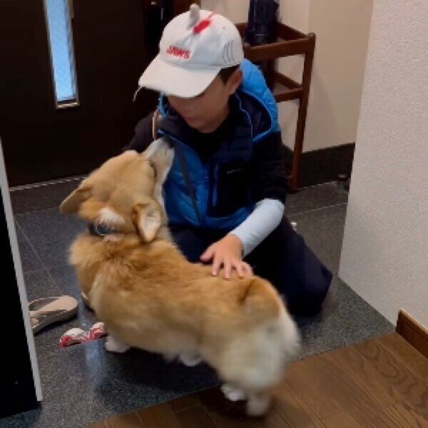 息子さんにはぴったり寄り添うジノくん