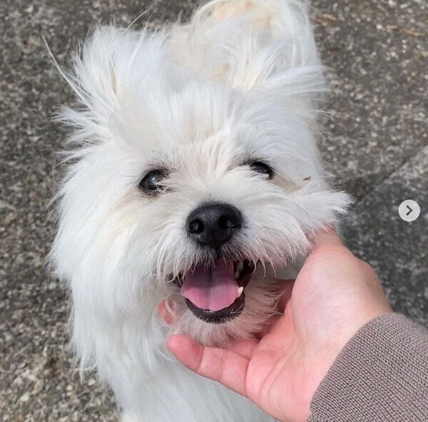 笑顔が可愛いおちゃづけくん