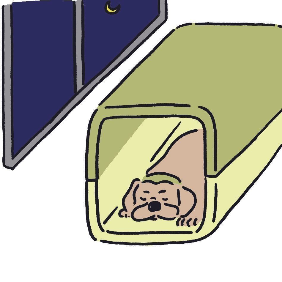 イラスト／別府 拓