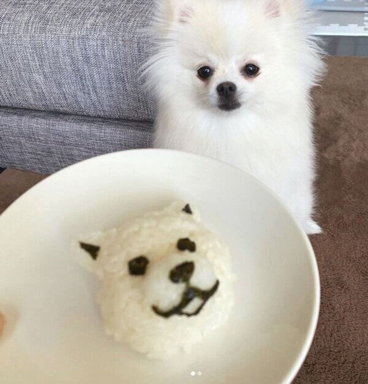 愛犬の特徴を見事に再現した可愛い 犬おにぎり 4選 おいしそうで作ってみたくなる いぬのきもちweb Magazine 愛犬の特徴を見事に再現した可愛い 犬おにぎり 4選 おいしそうで作ってみたくなる いぬのきもちweb Magazine