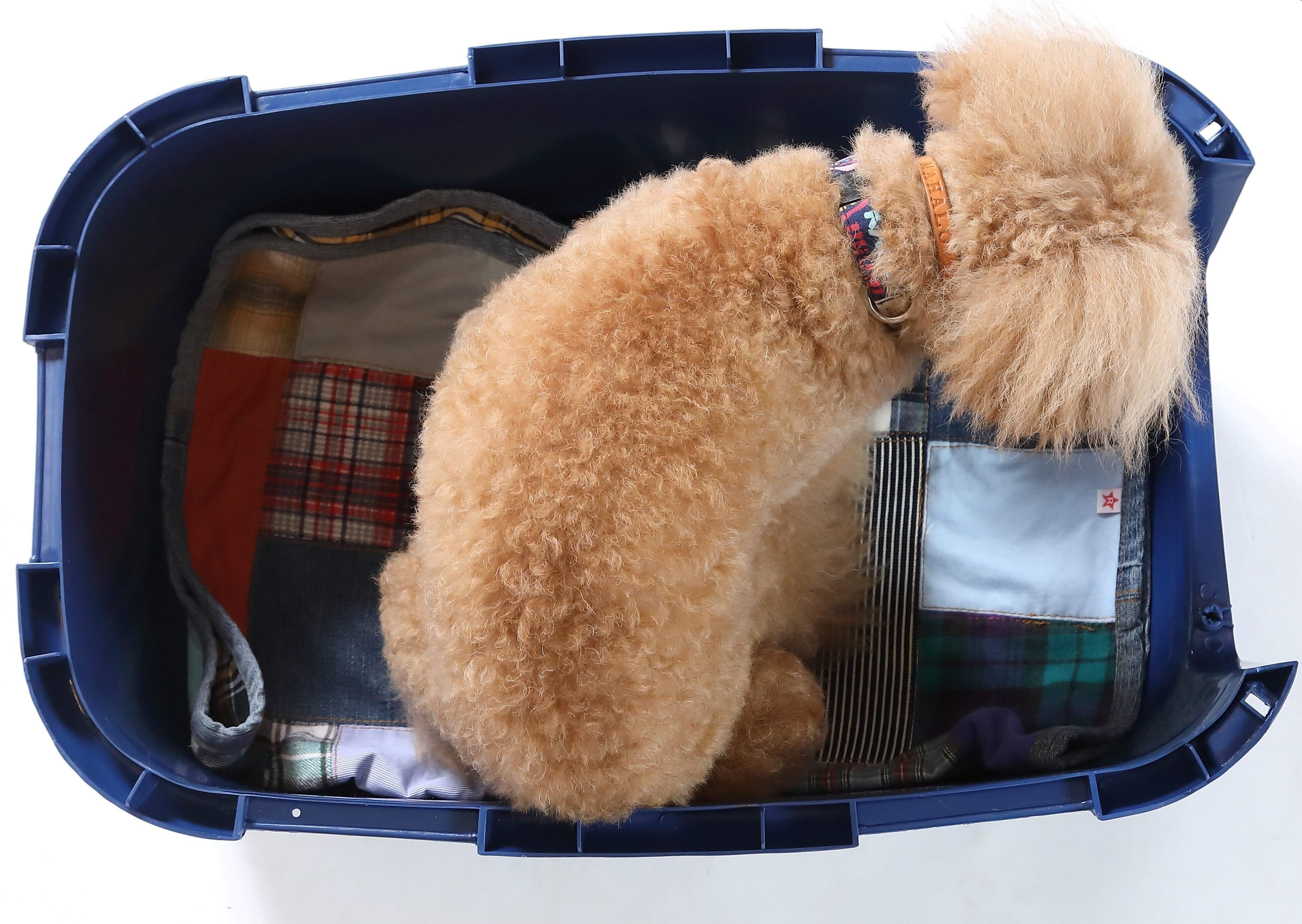 写真／尾﨑たまき