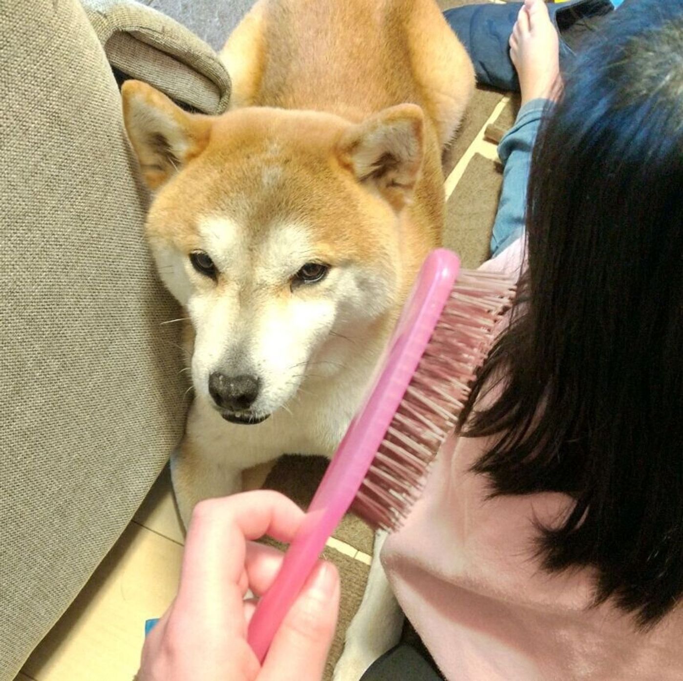 Tb2nycygbgmw1m Tb2nycygbgmw1m