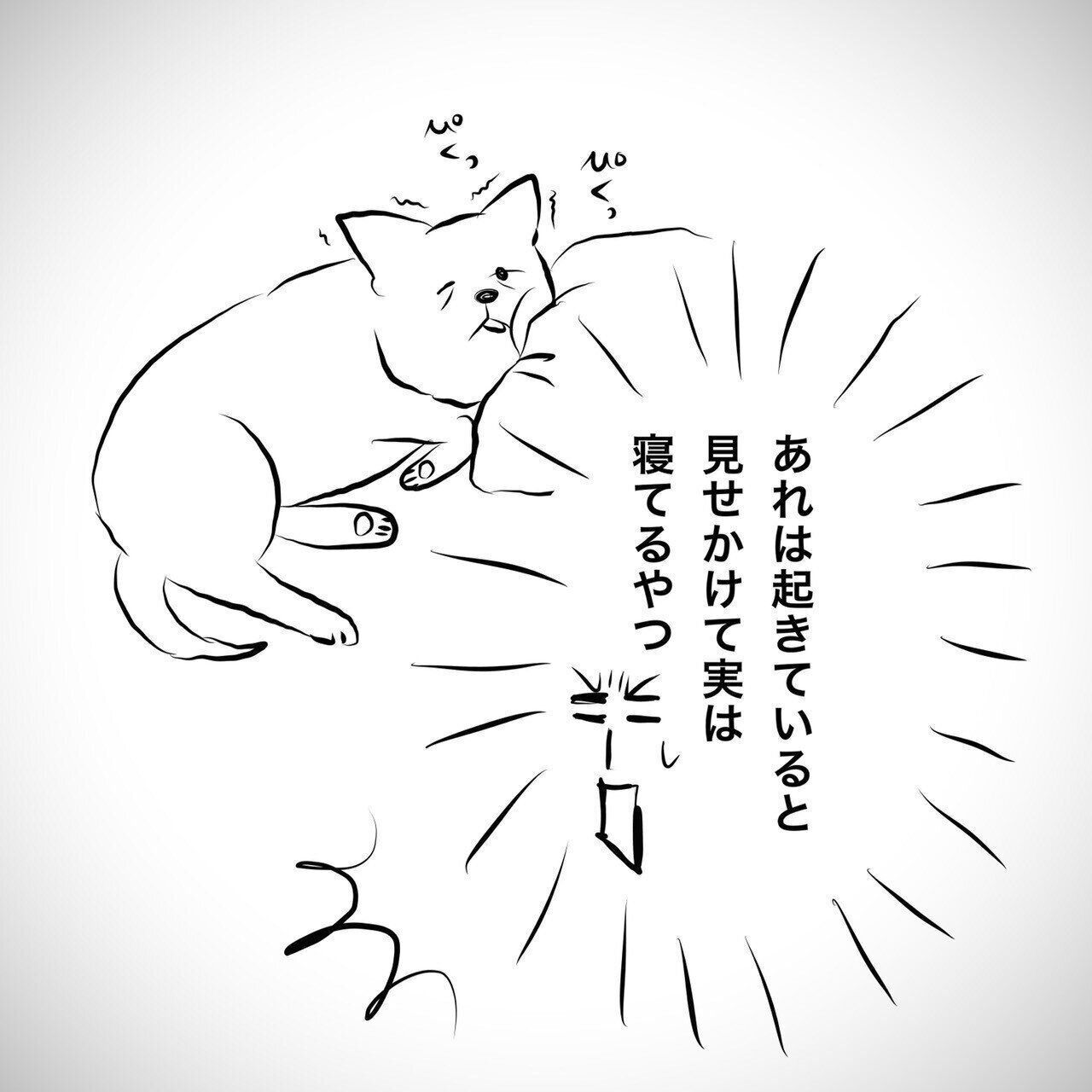 半目で眠るシロさんの可愛さにノックアウト そっと添い寝してみたら 連載 おばあちゃん犬がやってきた 第73回 いぬのきもちweb Magazine