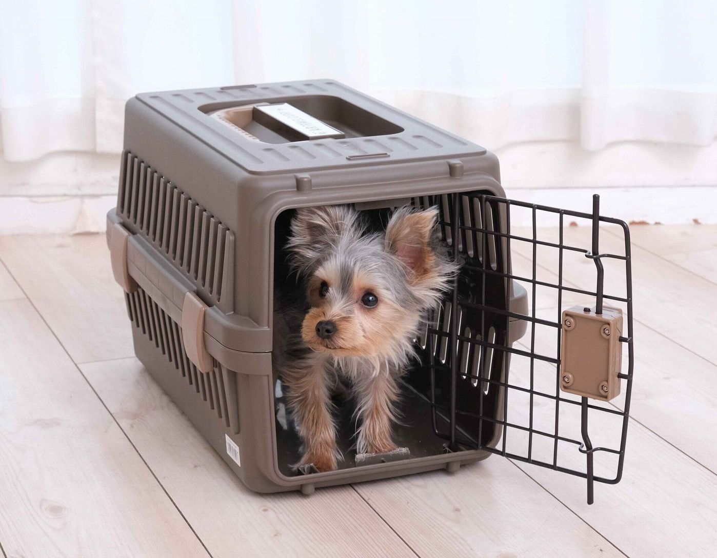 愛犬がクレート好きになる4ステップ 災害時 移動時に便利なクレートを活用しよう いぬのきもちweb Magazine 愛犬がクレート好きになる4ステップ 災害時 移動時に便利なクレートを活用しよう いぬのきもちweb Magazine