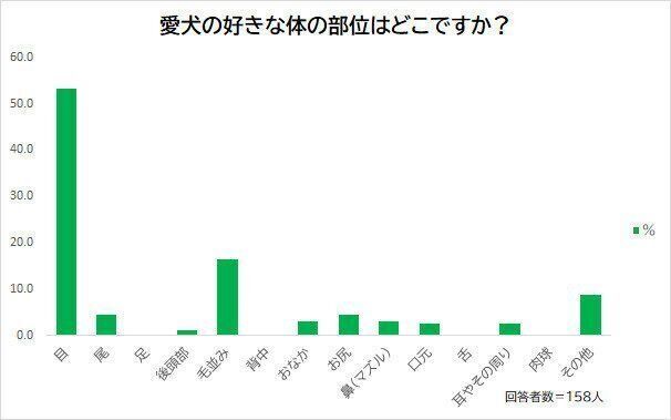 愛犬の好きな体の部位は?