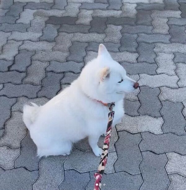 好きなコを待つ雪ちゃん