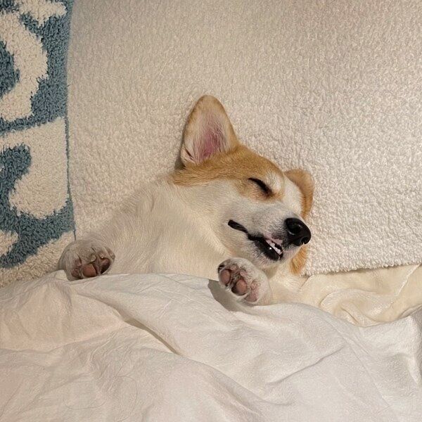 気持ちよさそうに眠るつむぎちゃん