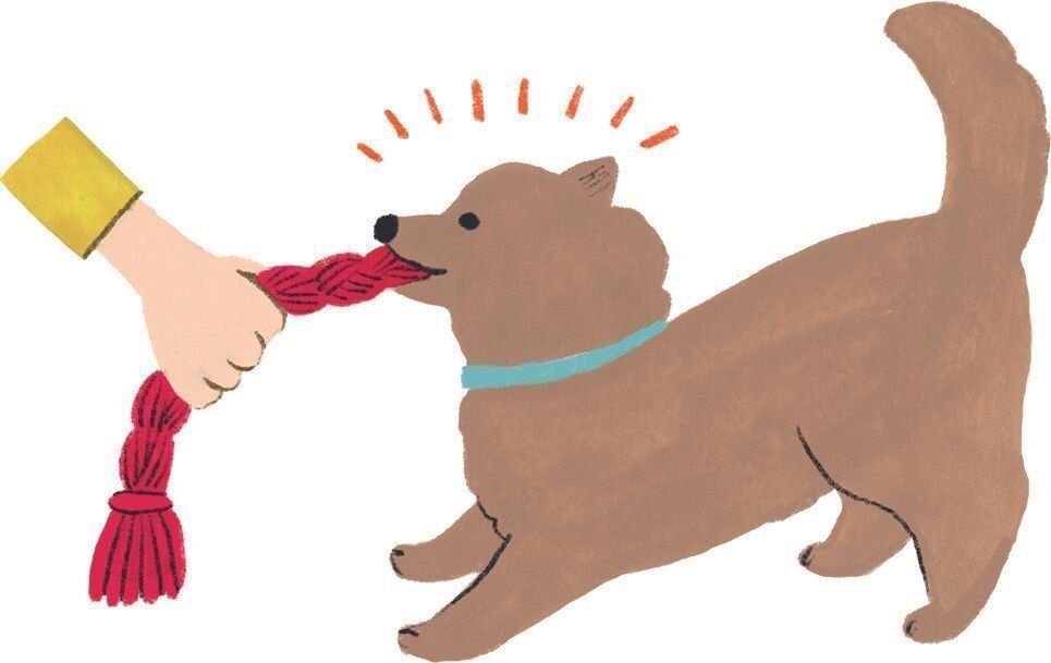 イラスト／macco