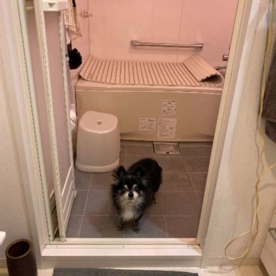 お風呂に誘うトロちゃん