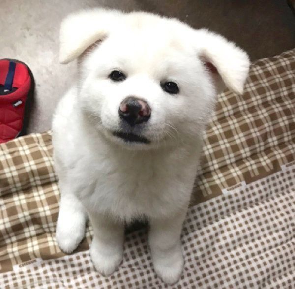 見つめる心ちゃん