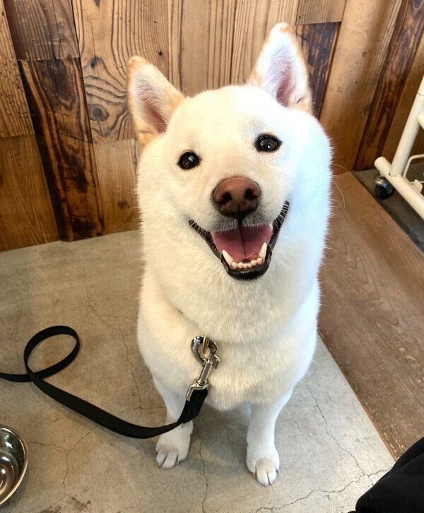 笑顔を見せるゆきみちゃん