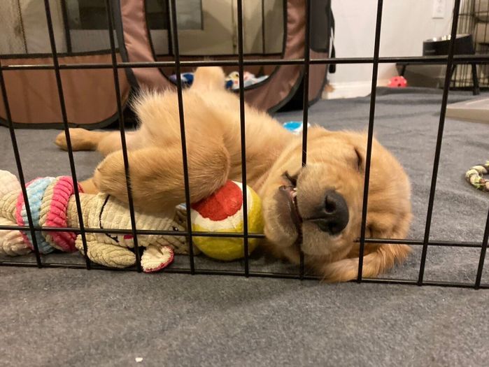 気持ちよさそうに眠るレオくん