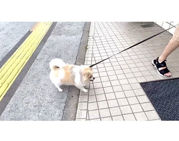 病院だと気づいてしまったちくわくん