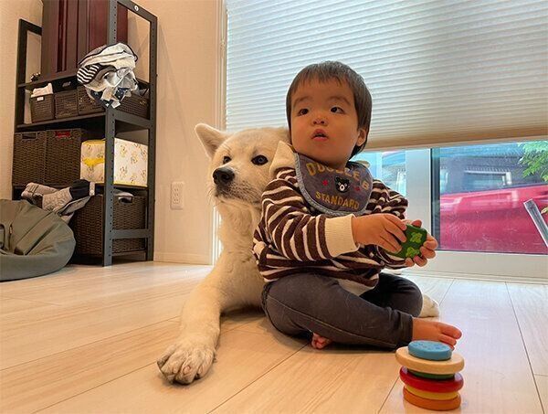 寄り添う凛太郎くんと弟くん