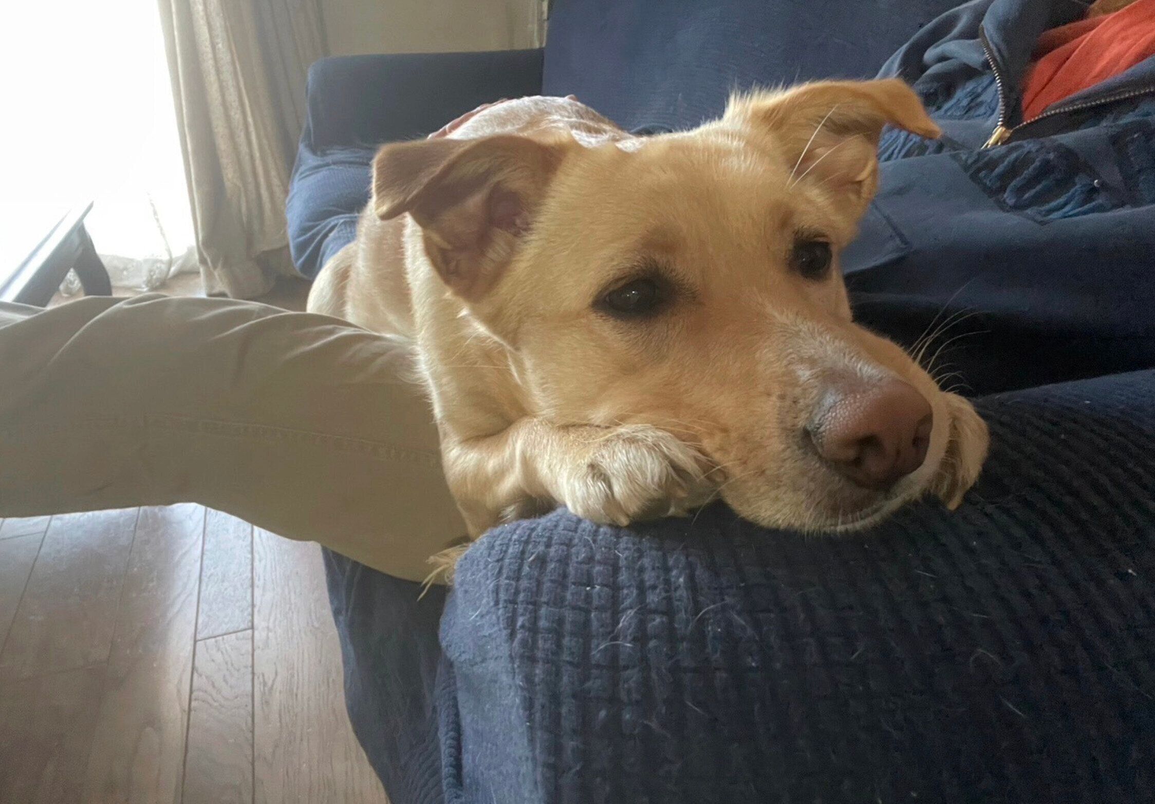 まったりするなつ子ちゃん