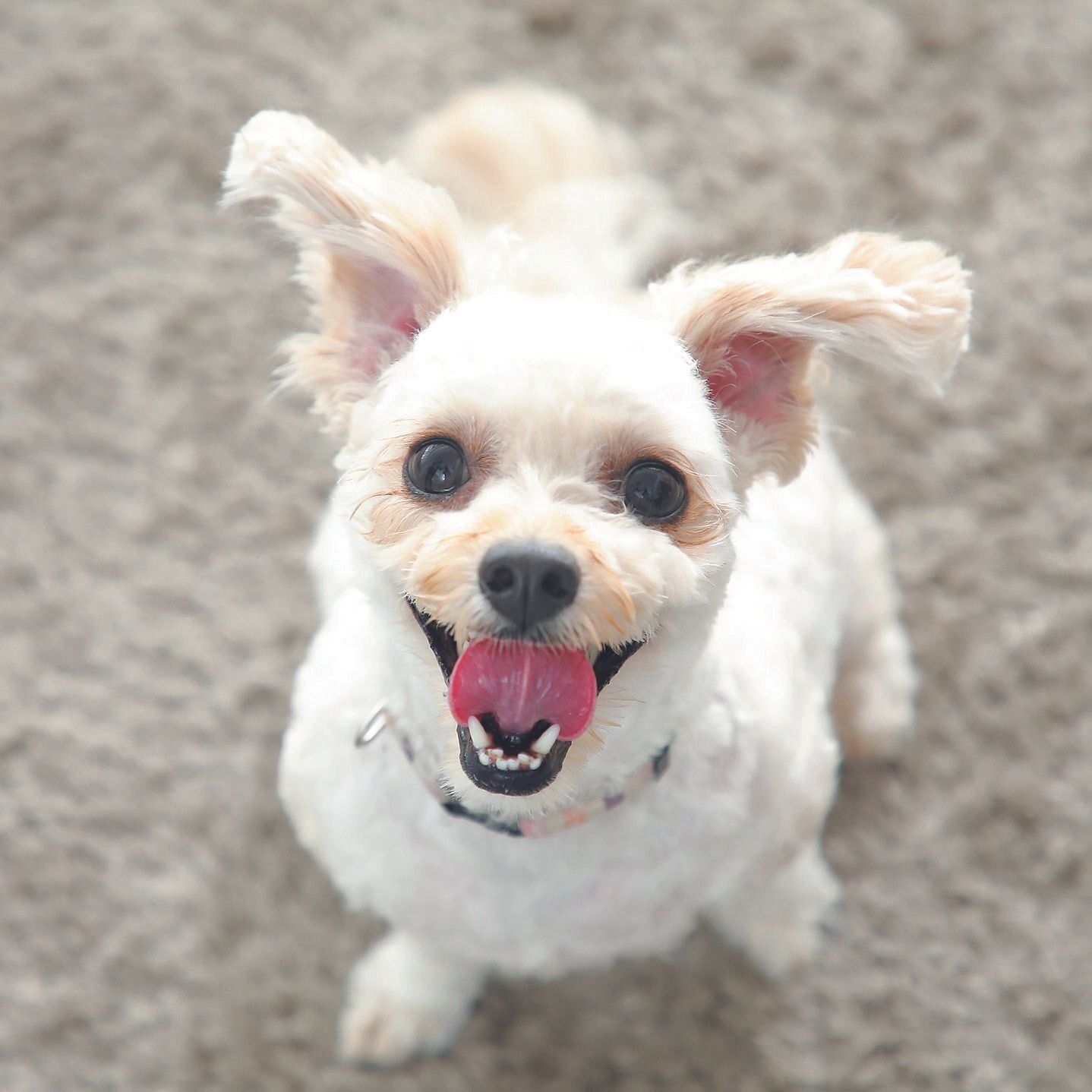 撮影／尾﨑たまき