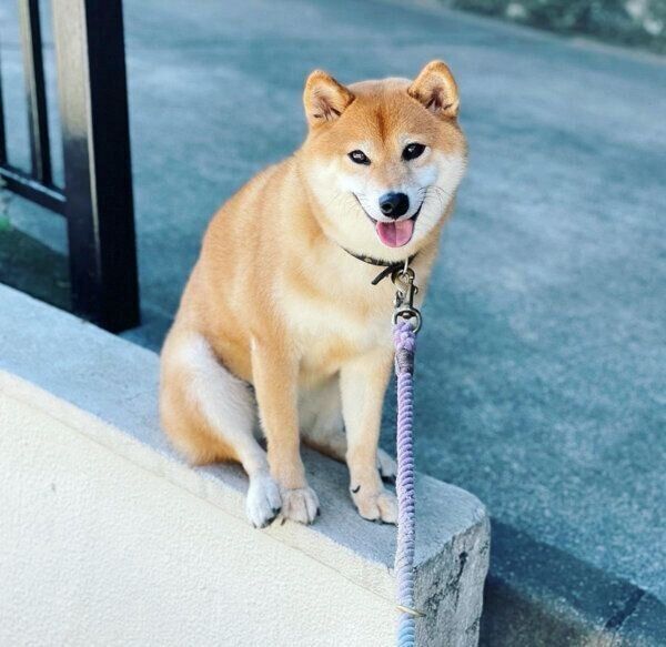 笑顔を見せるエマちゃん