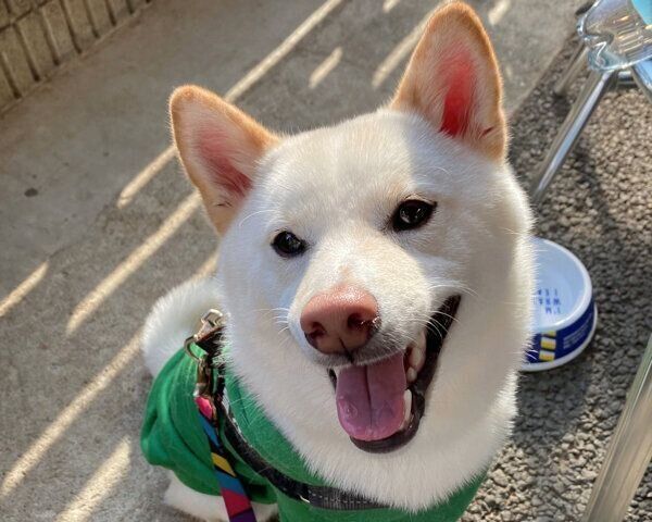 笑顔が可愛い雪丸くん