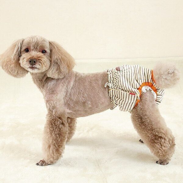 かわいい専用カバーもあります