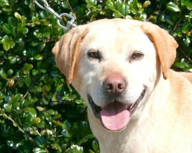 笑顔を見せるばしょうくん