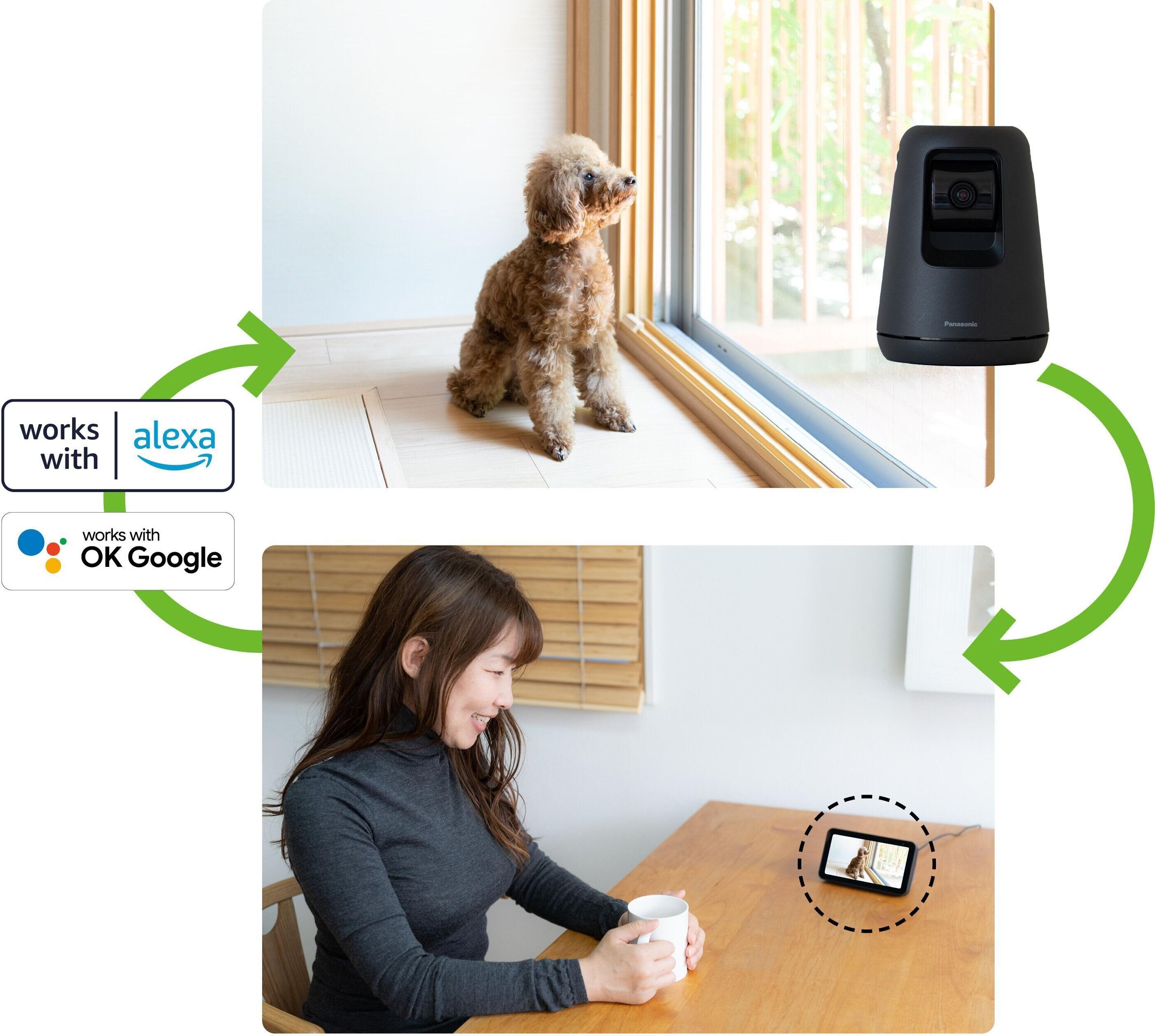 Pr 愛用者に聞いた Hdペットカメラの気になる疑問と便利な使い方 いぬのきもちweb Magazine Pr 愛用者に聞いた Hdペットカメラの気になる疑問と便利な使い方 いぬのきもちweb Magazine