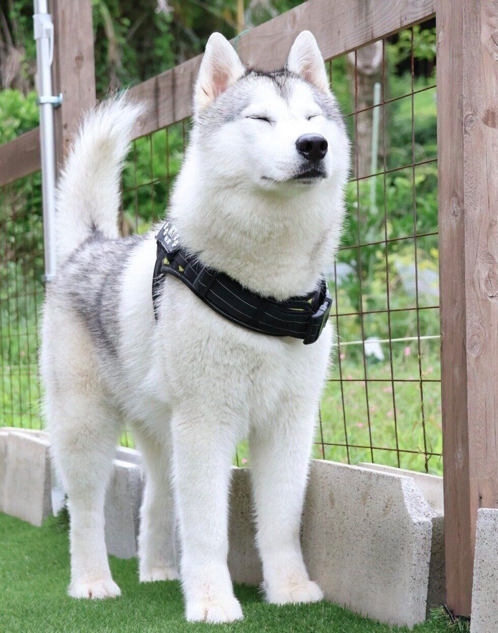 「くしゃみをする2秒前」のスカイくん