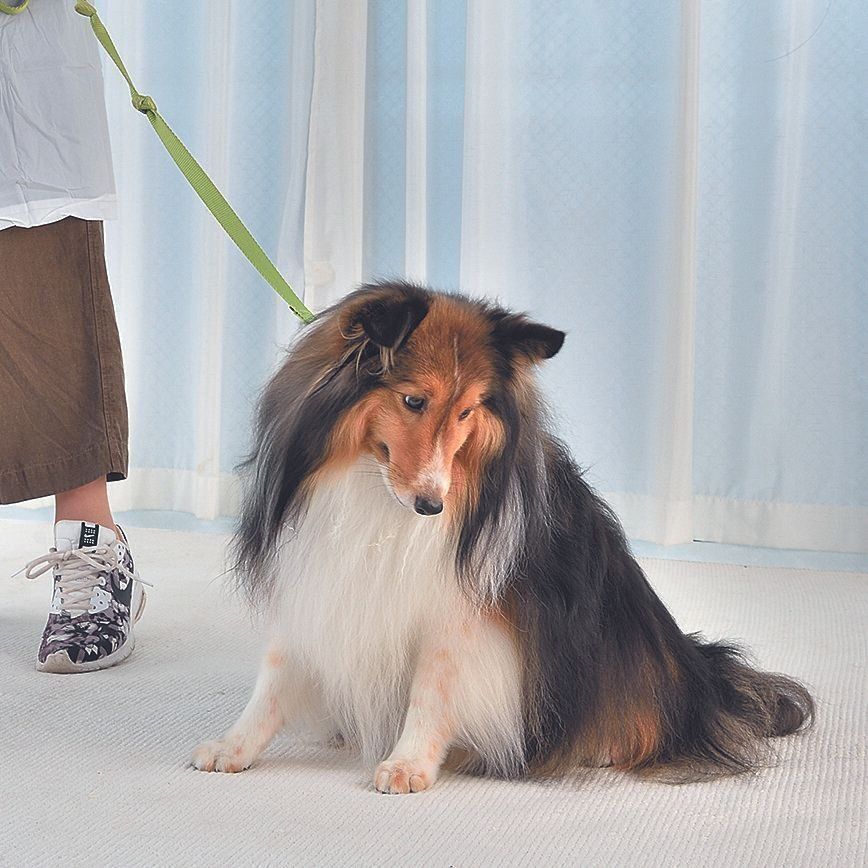 撮影／佐藤正之