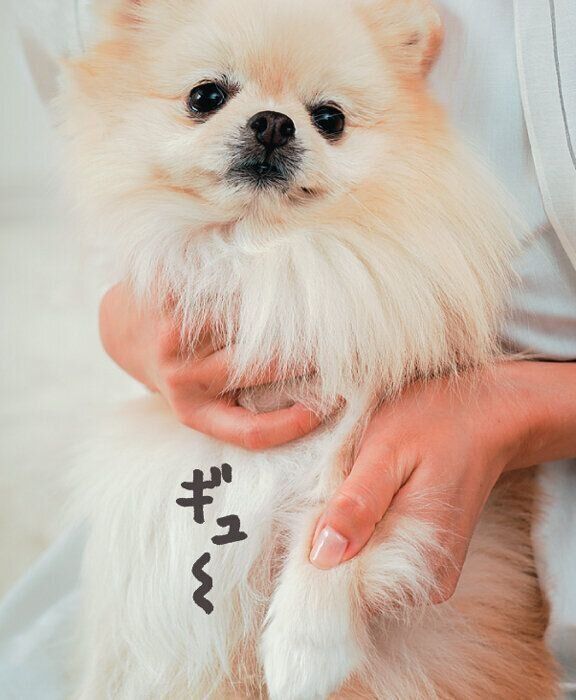 陽池を刺激する