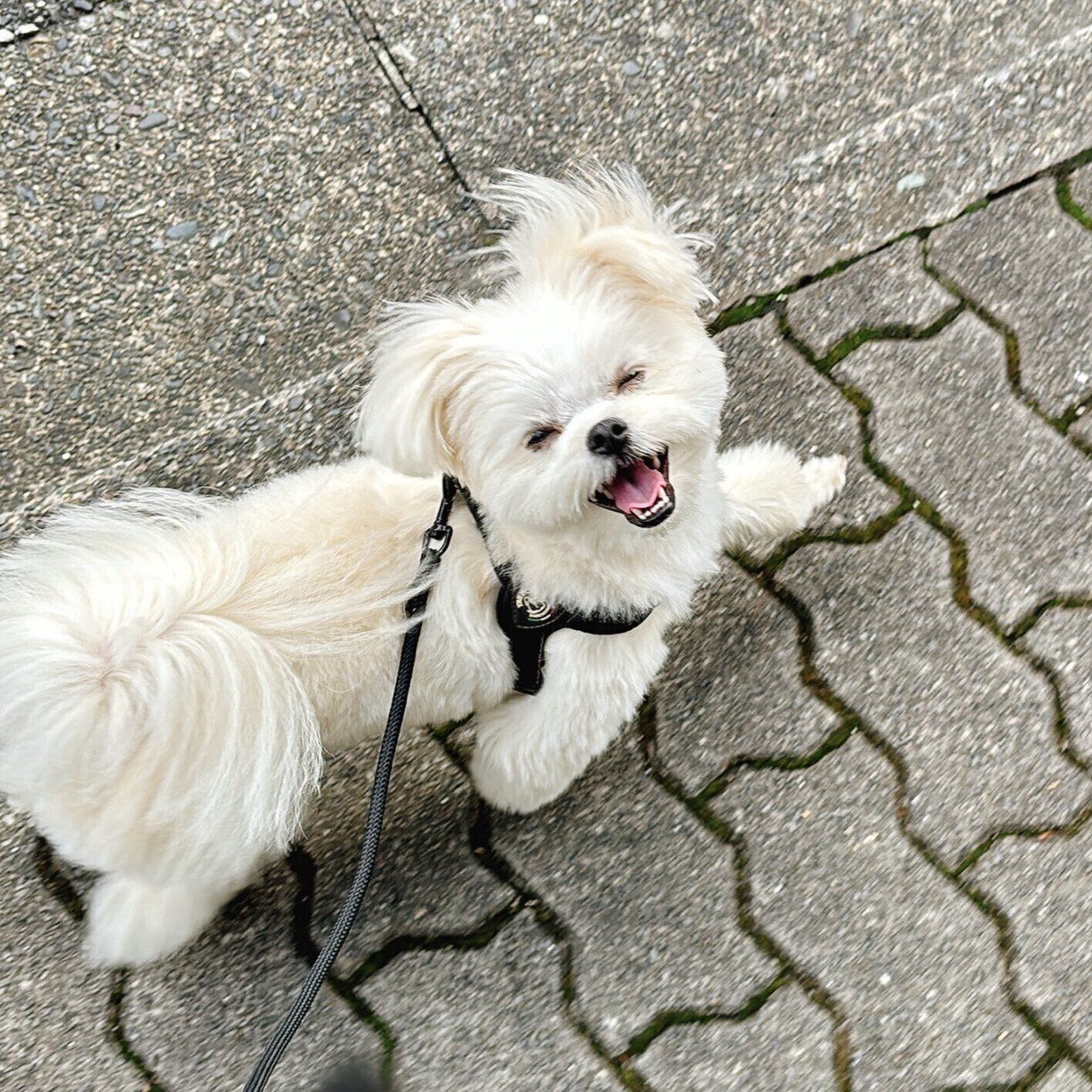 楽しそうなおこめちゃん　ニコニコ“笑顔”がかわいすぎる
