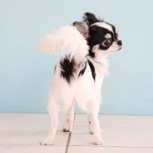 撮影／尾﨑たまき