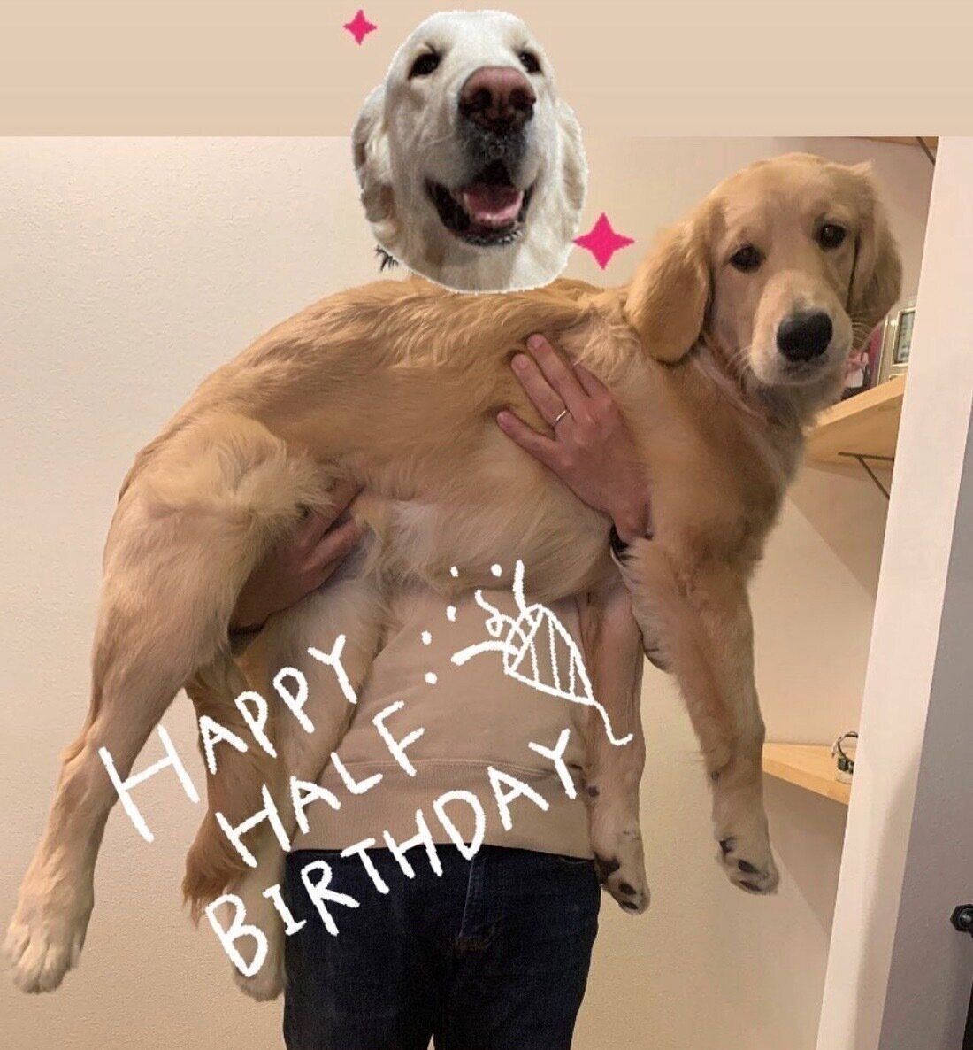 生後6カ月になったむぎちゃん