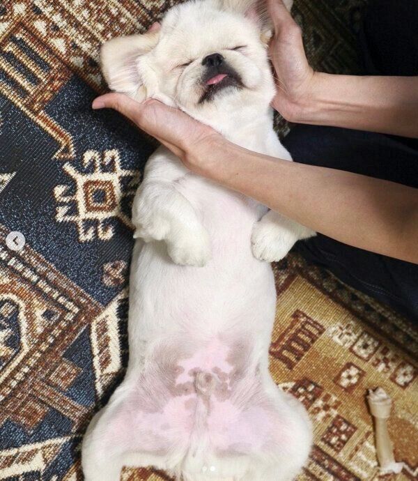 成長したムーチョくん