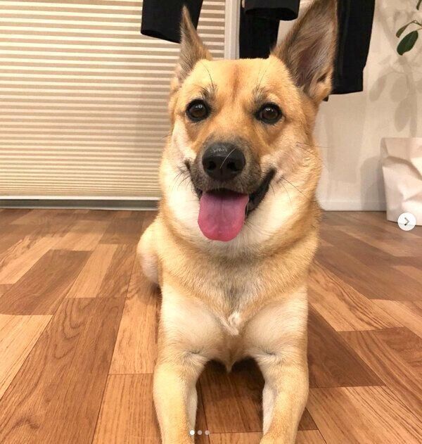 笑顔のあずきちゃん