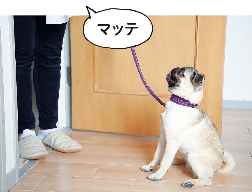 撮影／尾﨑たまき