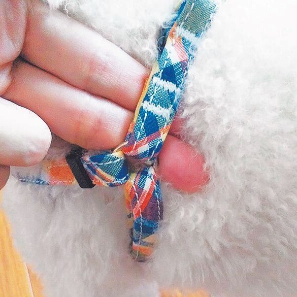 写真提供／愛知県 J.I.さん