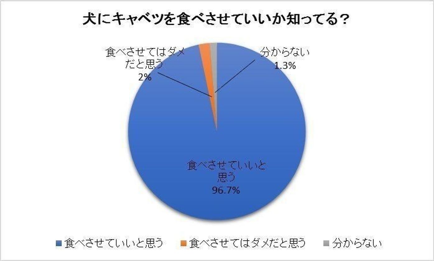 獣医師監修 犬にキャベツは大丈夫 効果や量 与え方の注意点とは いぬのきもちweb Magazine 獣医師監修 犬にキャベツは大丈夫 効果や量 与え方の注意点とは いぬのきもちweb Magazine