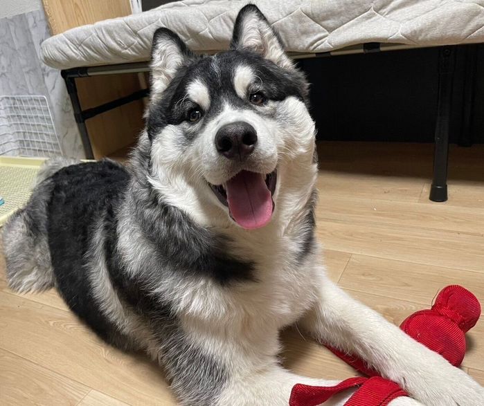 生後6カ月のころに撮影した爽くん