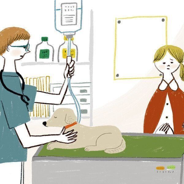 術後の経過が思わしくなかった（イラスト／macco）