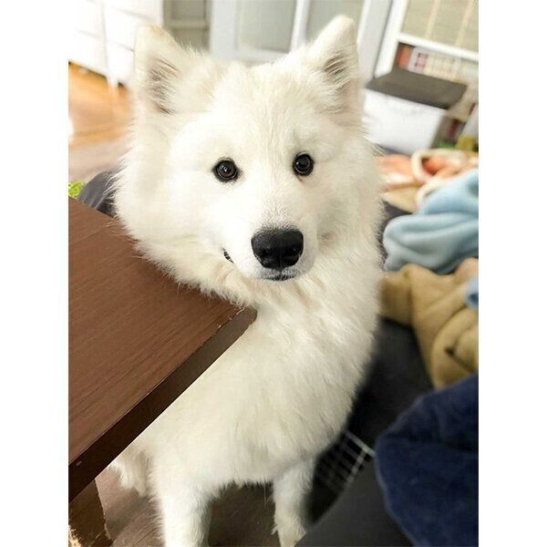 見つめるソランくん