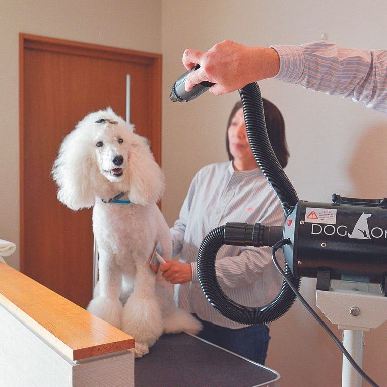 撮影／犬丸美絵