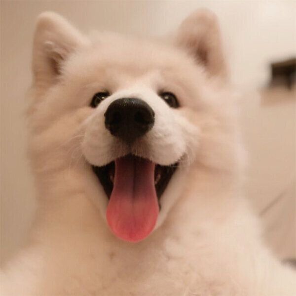 笑顔のソランくん