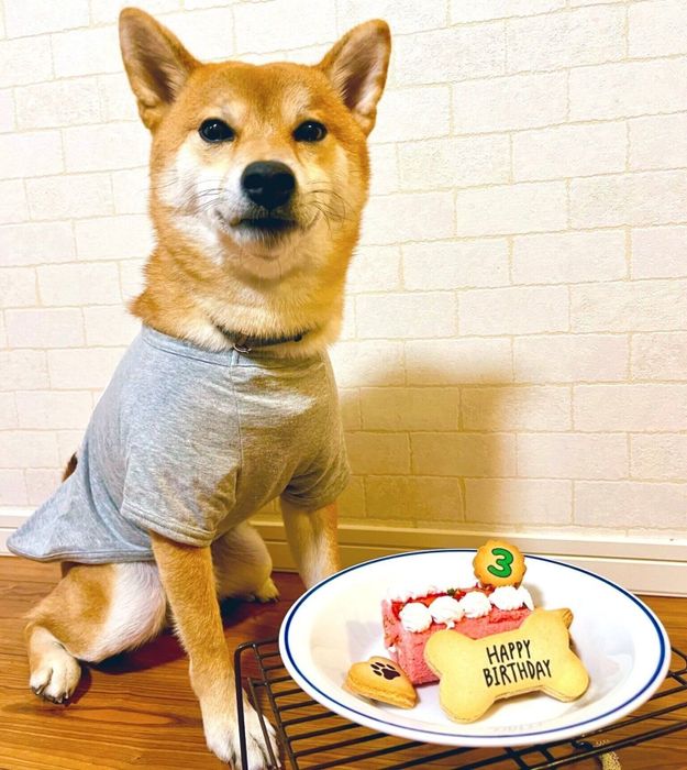 3才の誕生日のときのあさひくん
