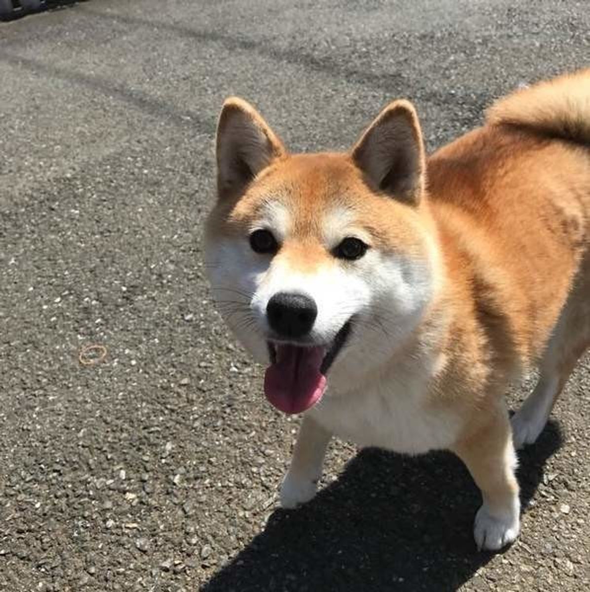 6awqqfrsmikgnm 6awqqfrsmikgnm