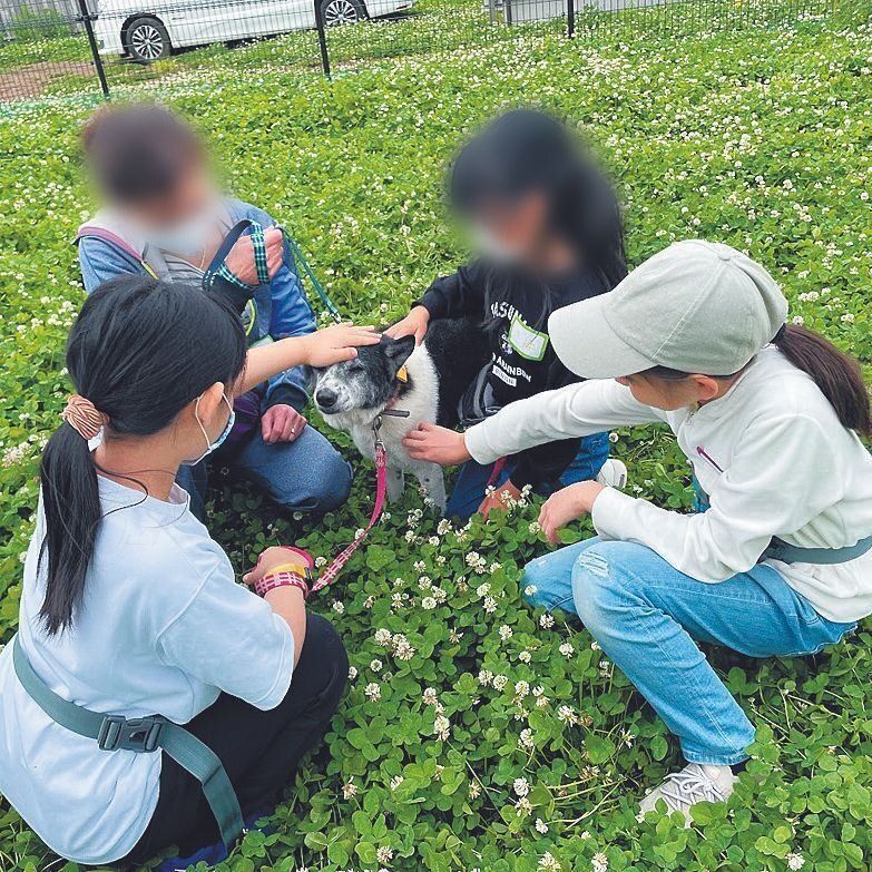 毎月第２日曜には、小学生から中学生の子どもを対象にした「どうぶつクラブ」を開催。保護犬シェルターのボランティア体験などを実施