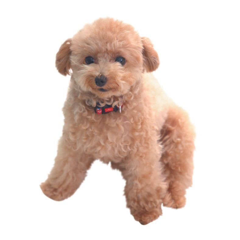 撮影／尾﨑たまき