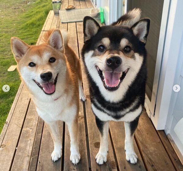 笑顔が可愛いやまとくん、小梅ちゃん