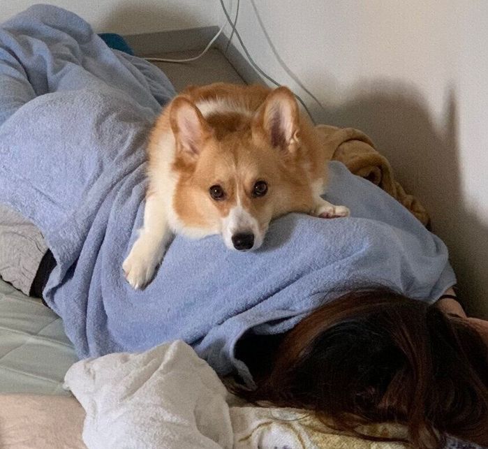 ママさんの体の上に乗るぷるたすちゃん