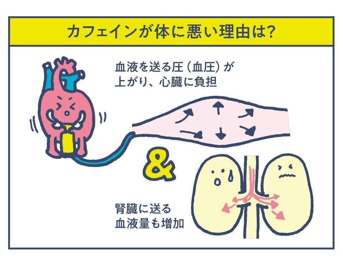 カフェインの作用で血管が収縮。心臓がいつも以上に頑張ってしまい高血圧になり、体調不良を招きます。また、腎臓に送る血液の量が増えて多尿に